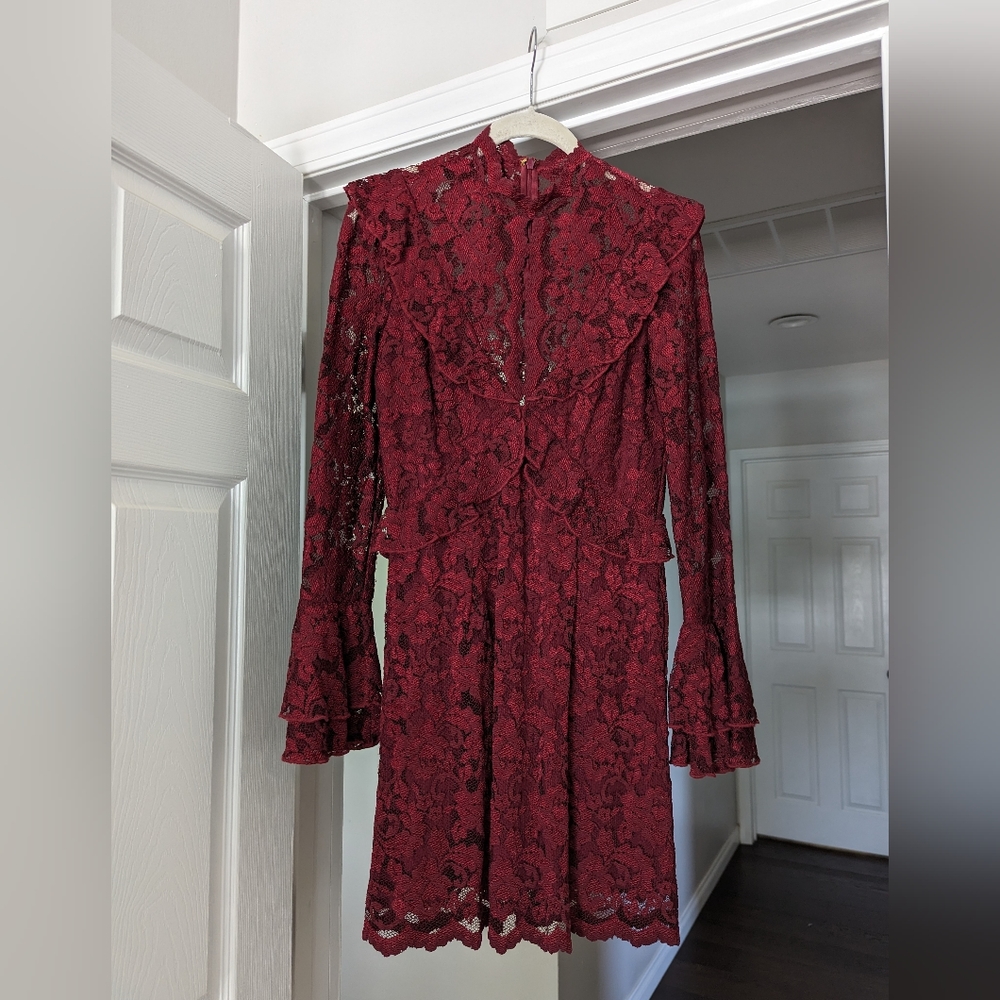 Saylor Devin laced sleeved dress
